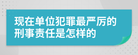 现在单位犯罪最严厉的刑事责任是怎样的