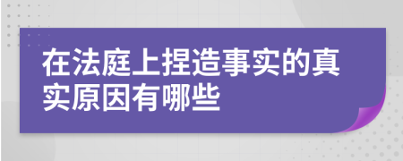 在法庭上捏造事实的真实原因有哪些