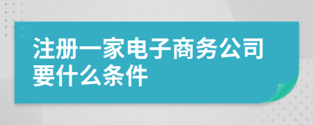 注册一家电子商务公司要什么条件