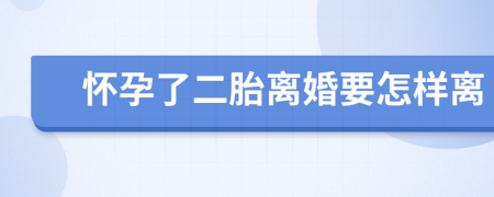 怀孕了二胎离婚要怎样离