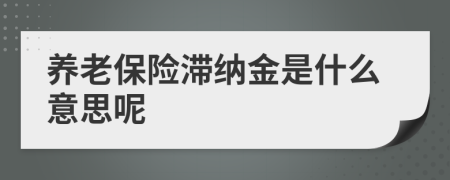 养老保险滞纳金是什么意思呢