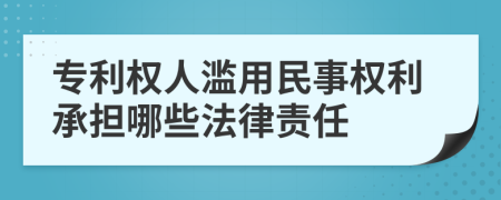 专利权人滥用民事权利承担哪些法律责任