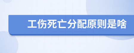 工伤死亡分配原则是啥