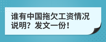 谁有中国拖欠工资情况说明？发文一份！