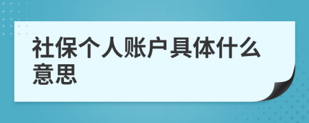 社保个人账户具体什么意思