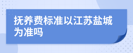 抚养费标准以江苏盐城为准吗