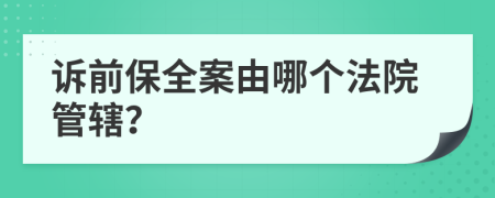 诉前保全案由哪个法院管辖？