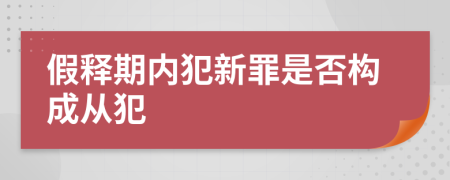 假释期内犯新罪是否构成从犯