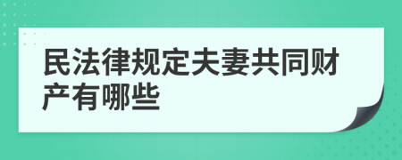 民法律规定夫妻共同财产有哪些