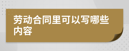 劳动合同里可以写哪些内容