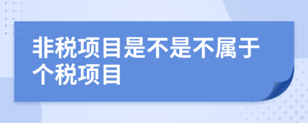 非税项目是不是不属于个税项目