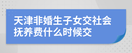 天津非婚生子女交社会抚养费什么时候交