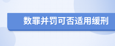 数罪并罚可否适用缓刑