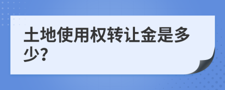 土地使用权转让金是多少？