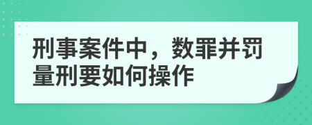 刑事案件中，数罪并罚量刑要如何操作