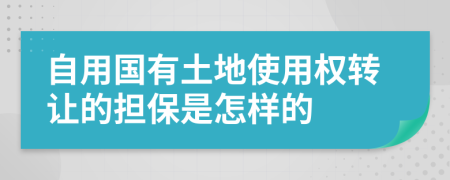 自用国有土地使用权转让的担保是怎样的