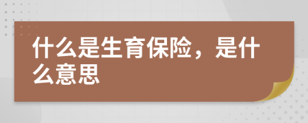 什么是生育保险，是什么意思