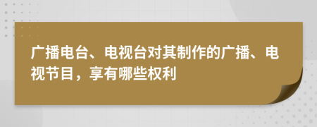 广播电台、电视台对其制作的广播、电视节目，享有哪些权利