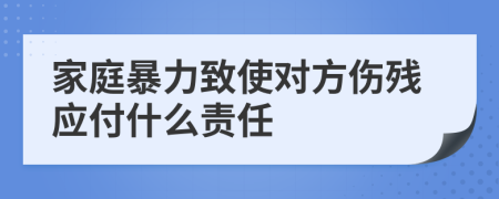 家庭暴力致使对方伤残应付什么责任