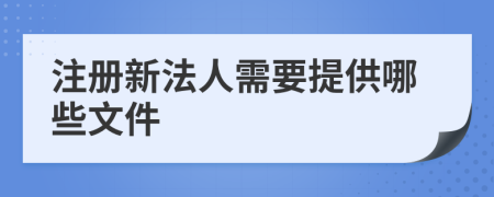 注册新法人需要提供哪些文件