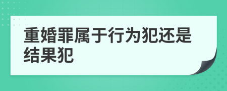 重婚罪属于行为犯还是结果犯