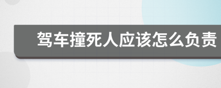 驾车撞死人应该怎么负责