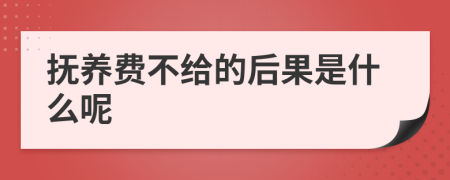 抚养费不给的后果是什么呢