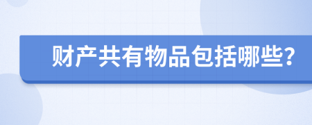 财产共有物品包括哪些？
