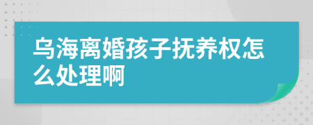 乌海离婚孩子抚养权怎么处理啊