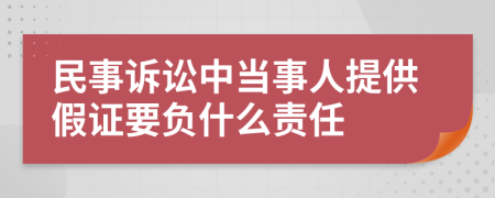 民事诉讼中当事人提供假证要负什么责任