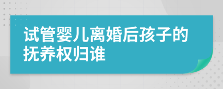 试管婴儿离婚后孩子的抚养权归谁