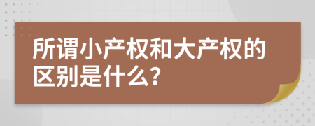 所谓小产权和大产权的区别是什么？