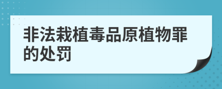 非法栽植毒品原植物罪的处罚
