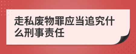 走私废物罪应当追究什么刑事责任