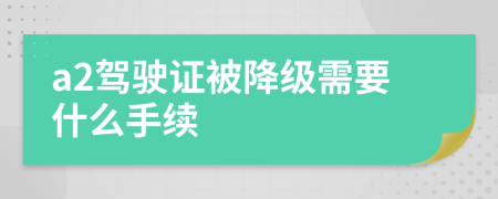 a2驾驶证被降级需要什么手续