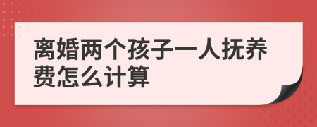 离婚两个孩子一人抚养费怎么计算