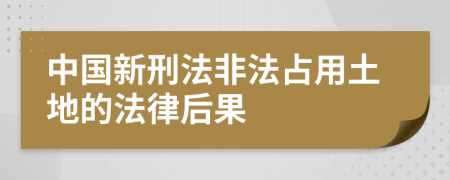 中国新刑法非法占用土地的法律后果