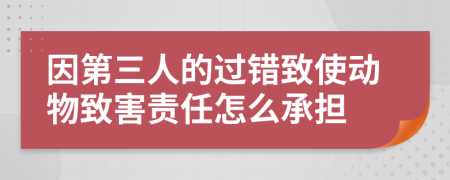 因第三人的过错致使动物致害责任怎么承担