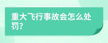 重大飞行事故会怎么处罚？