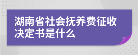 湖南省社会抚养费征收决定书是什么