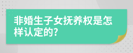 非婚生子女抚养权是怎样认定的?