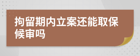 拘留期内立案还能取保候审吗