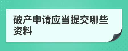 破产申请应当提交哪些资料