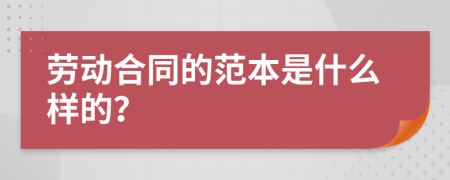 劳动合同的范本是什么样的？