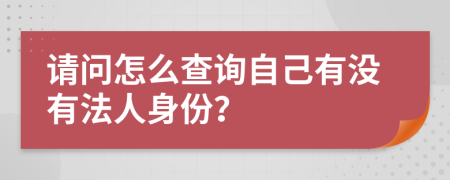 请问怎么查询自己有没有法人身份？