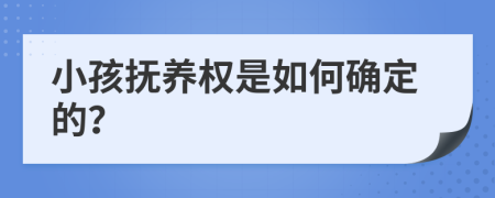小孩抚养权是如何确定的？