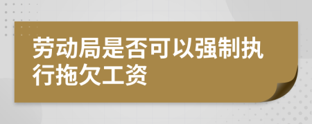 劳动局是否可以强制执行拖欠工资