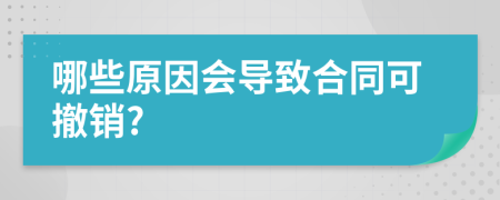 哪些原因会导致合同可撤销?