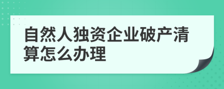 自然人独资企业破产清算怎么办理