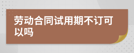 劳动合同试用期不订可以吗